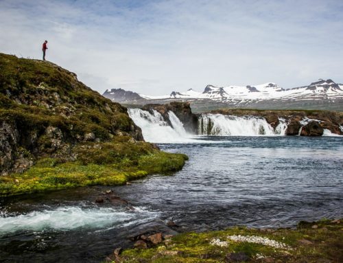 East Iceland Experience