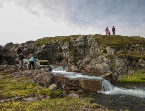 East Iceland Nature and Culture – Eskifjörður