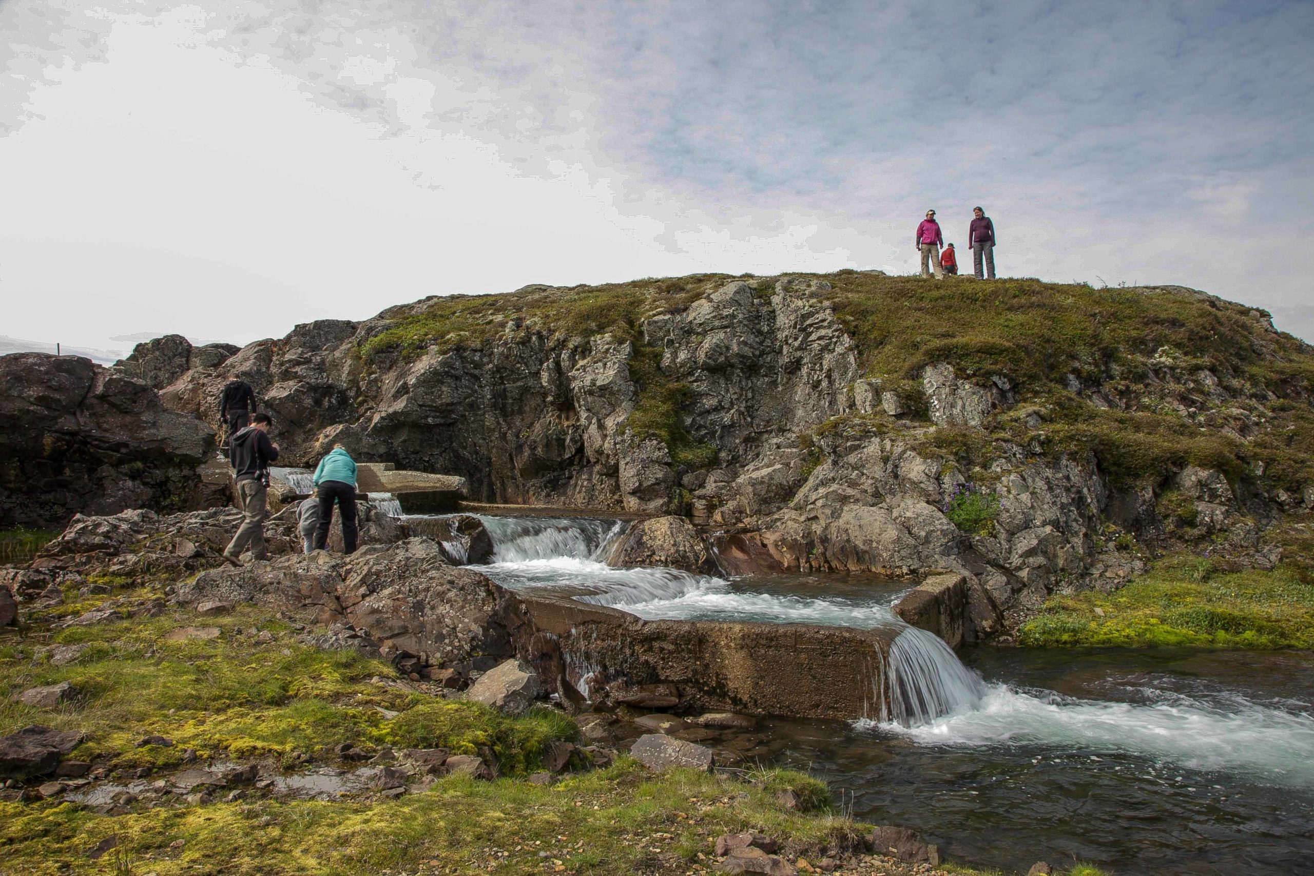 djupivogur shore excursions