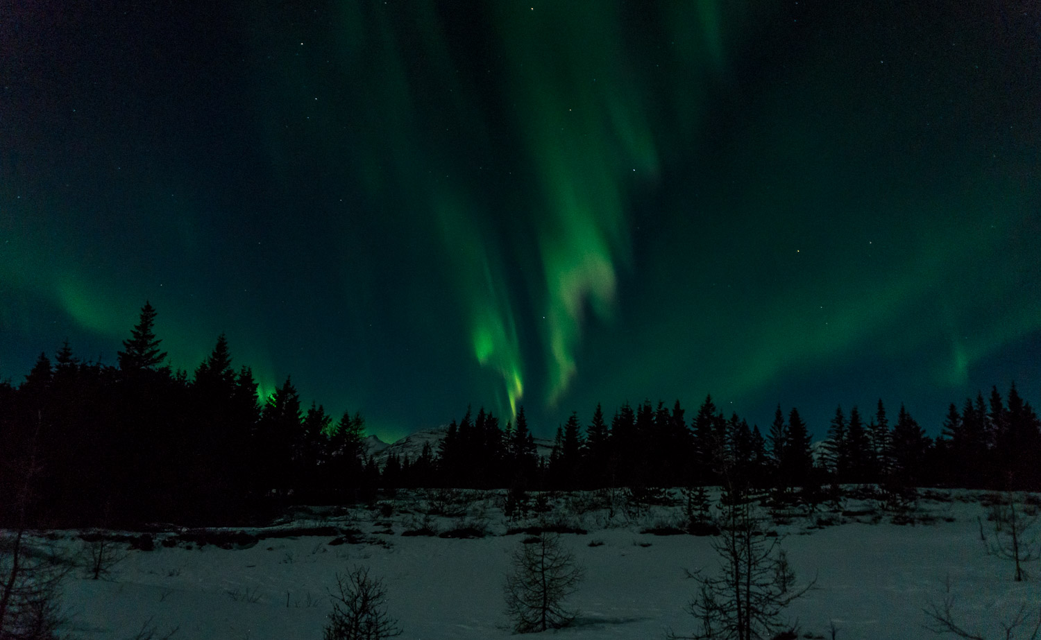 Northern lights tour, Aurora boreal, guided tours, super jeep tours, winter